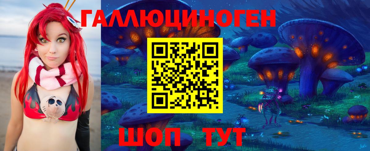 Псилоцибиновые грибы Psilocybe  Псилоцибиновые грибы Psilocybe  Северобайкальск  Вход с VPN 